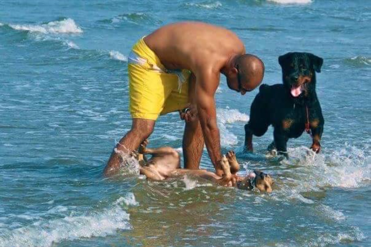 Furventures - Pet Adventures & Events - Photo 44